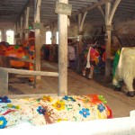 small_dans_l_etable11