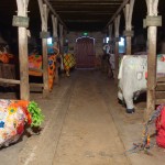 small_dans_l_etable2