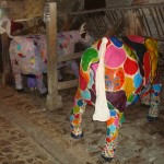 small_dans_l_etable3