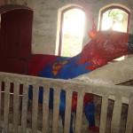 small_dans_l_etable6