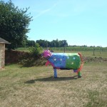 small_vache_coquette_