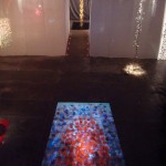 small_dsc08109