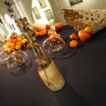 small_dsc5562