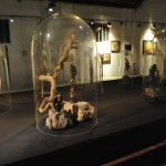 small_dsc5563