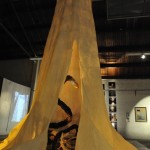 small_dsc5572
